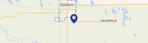 Baldwin, MI 49304