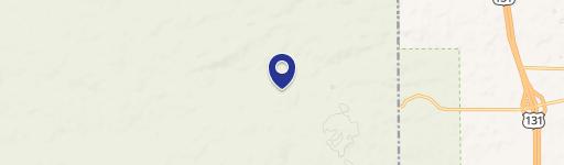 Big Rapids, MI 49307