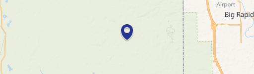 Big Rapids, MI 49307