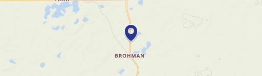 Brohman, MI 49312