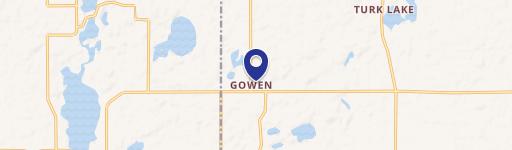 Gowen, MI 49326