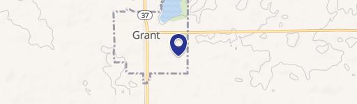 Grant, MI 49327