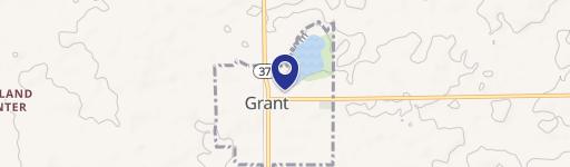 Grant, MI 49327