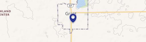Grant, MI 49327