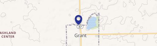 Grant, MI 49327