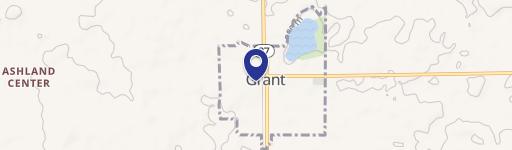 Grant, MI 49327