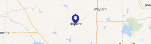 Hopkins, MI 49328