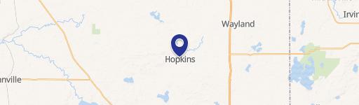Hopkins, MI 49328