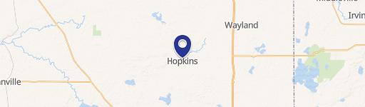 Hopkins, MI 49328