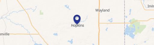 Hopkins, MI 49328