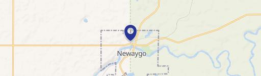 Newaygo, MI 49337