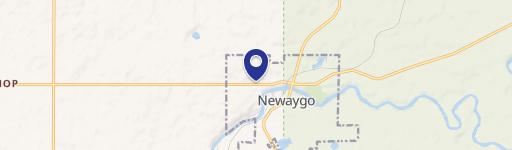 Newaygo, MI 49337