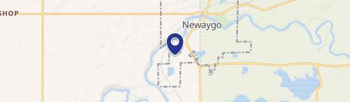 Newaygo, MI 49337