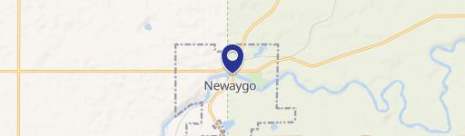 Newaygo, MI 49337