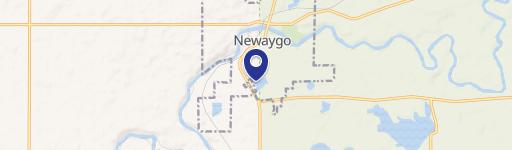Newaygo, MI 49337