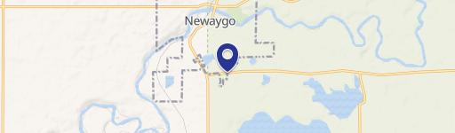 Newaygo, MI 49337