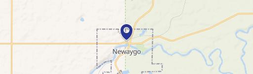 Newaygo, MI 49337