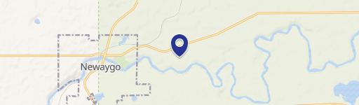 Newaygo, MI 49337