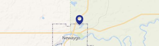 Newaygo, MI 49337