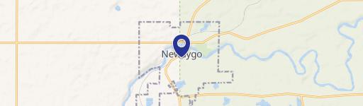Newaygo, MI 49337