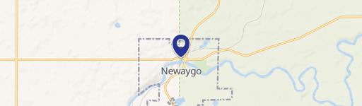 Newaygo, MI 49337