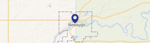 Newaygo, MI 49337