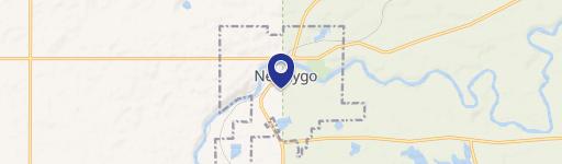 Newaygo, MI 49337