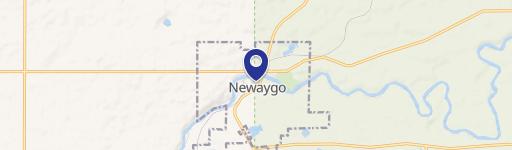 Newaygo, MI 49337