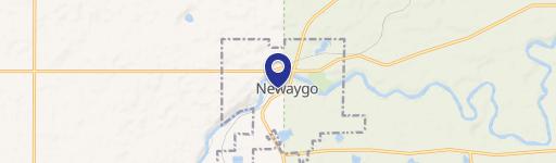 Newaygo, MI 49337