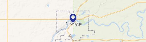 Newaygo, MI 49337