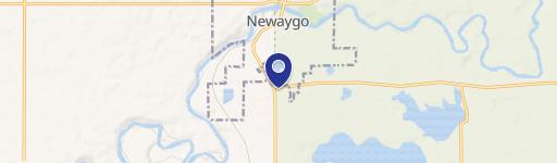 Newaygo, MI 49337