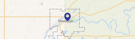 Newaygo, MI 49337