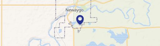 Newaygo, MI 49337