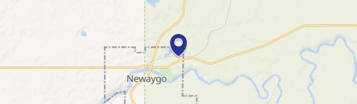 Newaygo, MI 49337