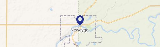 Newaygo, MI 49337