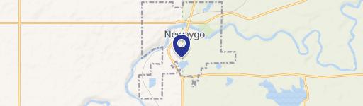 Newaygo, MI 49337