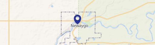 Newaygo, MI 49337