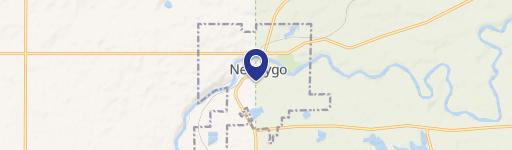 Newaygo, MI 49337