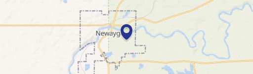 Newaygo, MI 49337