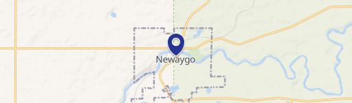 Newaygo, MI 49337