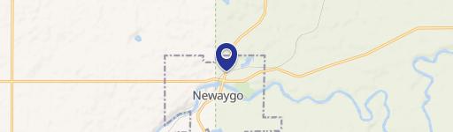 Newaygo, MI 49337