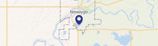 Newaygo, MI 49337