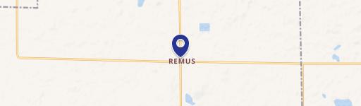 Remus, MI 49340