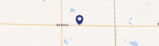 Remus, MI 49340