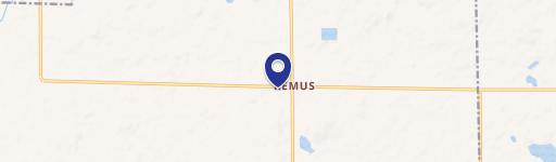 Remus, MI 49340