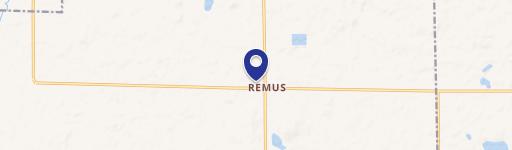 Remus, MI 49340