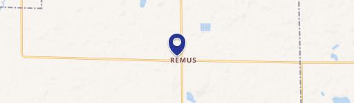 Remus, MI 49340