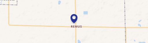 Remus, MI 49340