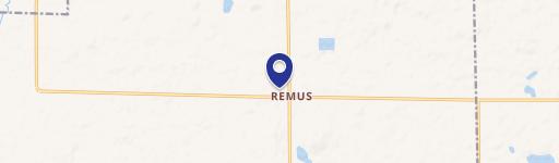 Remus, MI 49340