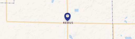 Remus, MI 49340